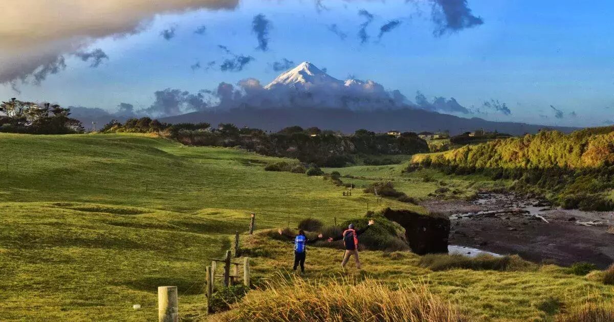 Is South Taranaki District over or undervalued? Opes Partners