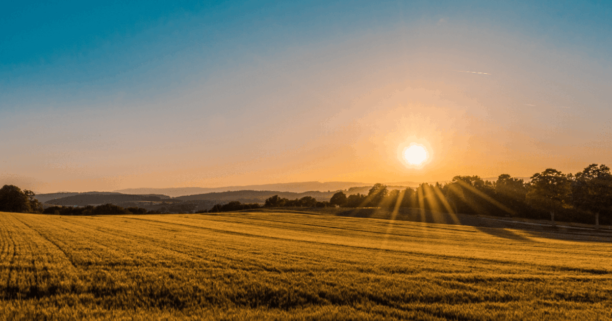 🏡 Gisborne Property Market (2024) Average Suburb… Opes Partners