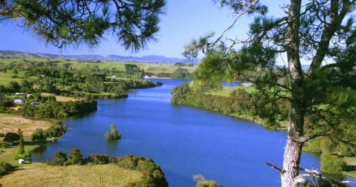 How are South Waikato District's house prices… Opes Partners